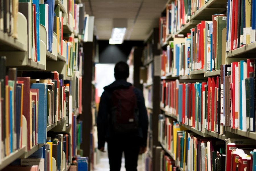 Políticas educativas en Paraguay - el imagen muestra una persona de espalda en una biblioteca e ilustra el texto sobre el tema 